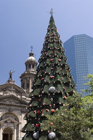 Catedral and Xmas tree.jpg